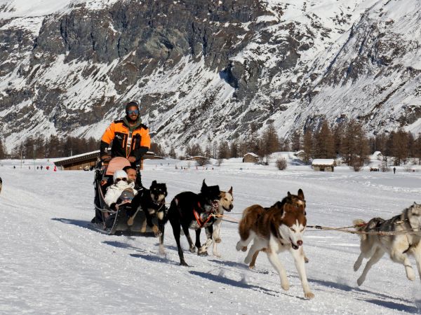 A musher drives a dog sled across snowy alpine terrain, with a child passenger riding in a sleigh beneath rugged mountain cliffs.