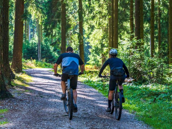 Two cyclists ride a gravel path through a lush green forest, seen from behind.